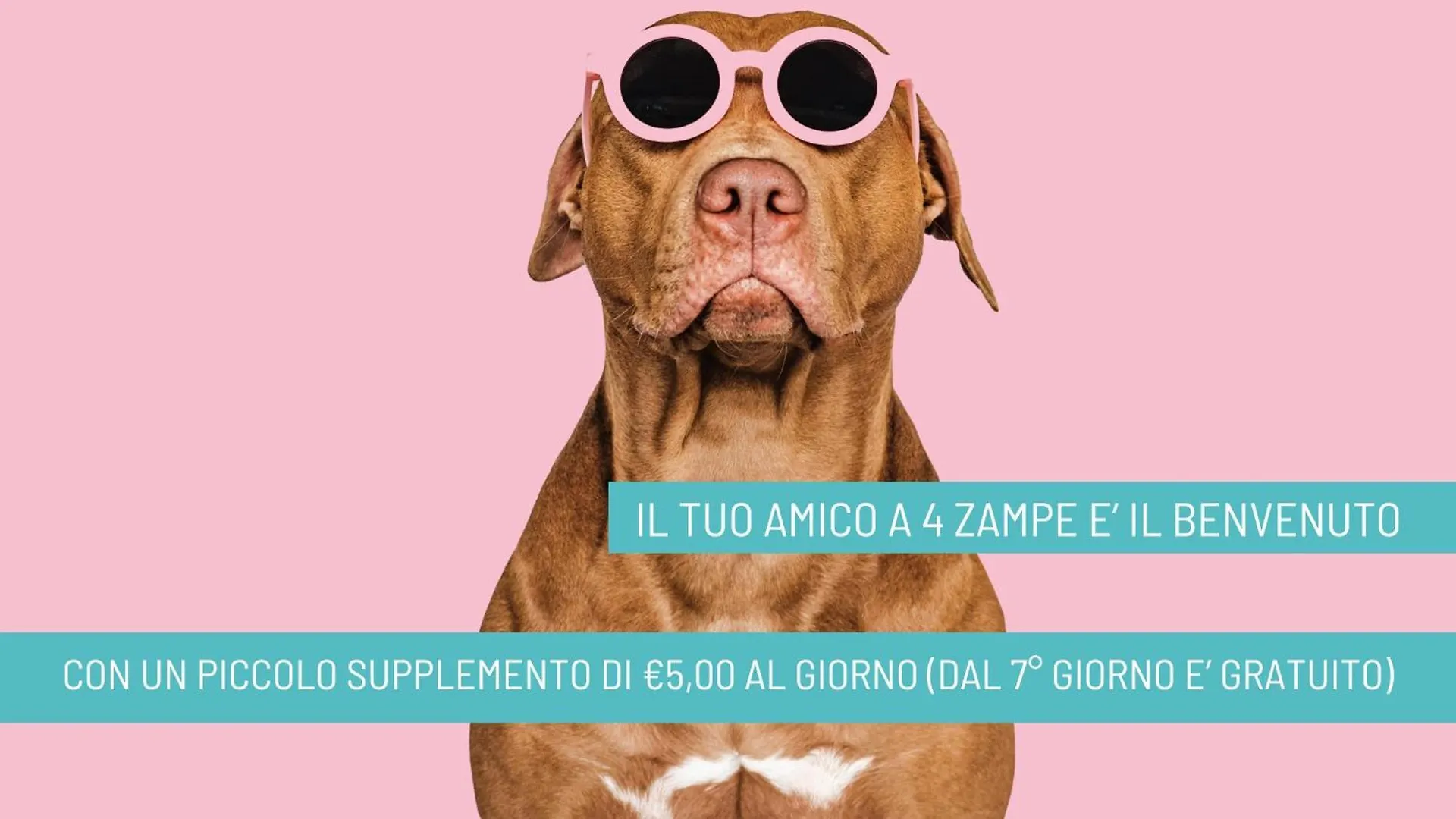 Hotel B&B Nizza Riccione
